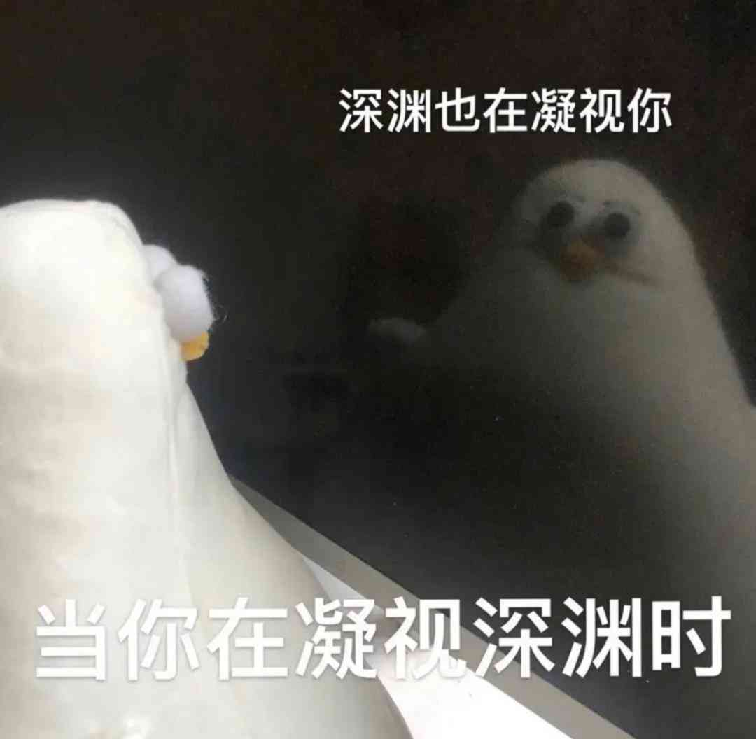 索尼w610怎么样 喂过一次大连海鸥，人类就要为自己的弱小羞愧