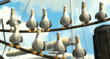 索尼w610怎么样 喂过一次大连海鸥，人类就要为自己的弱小羞愧