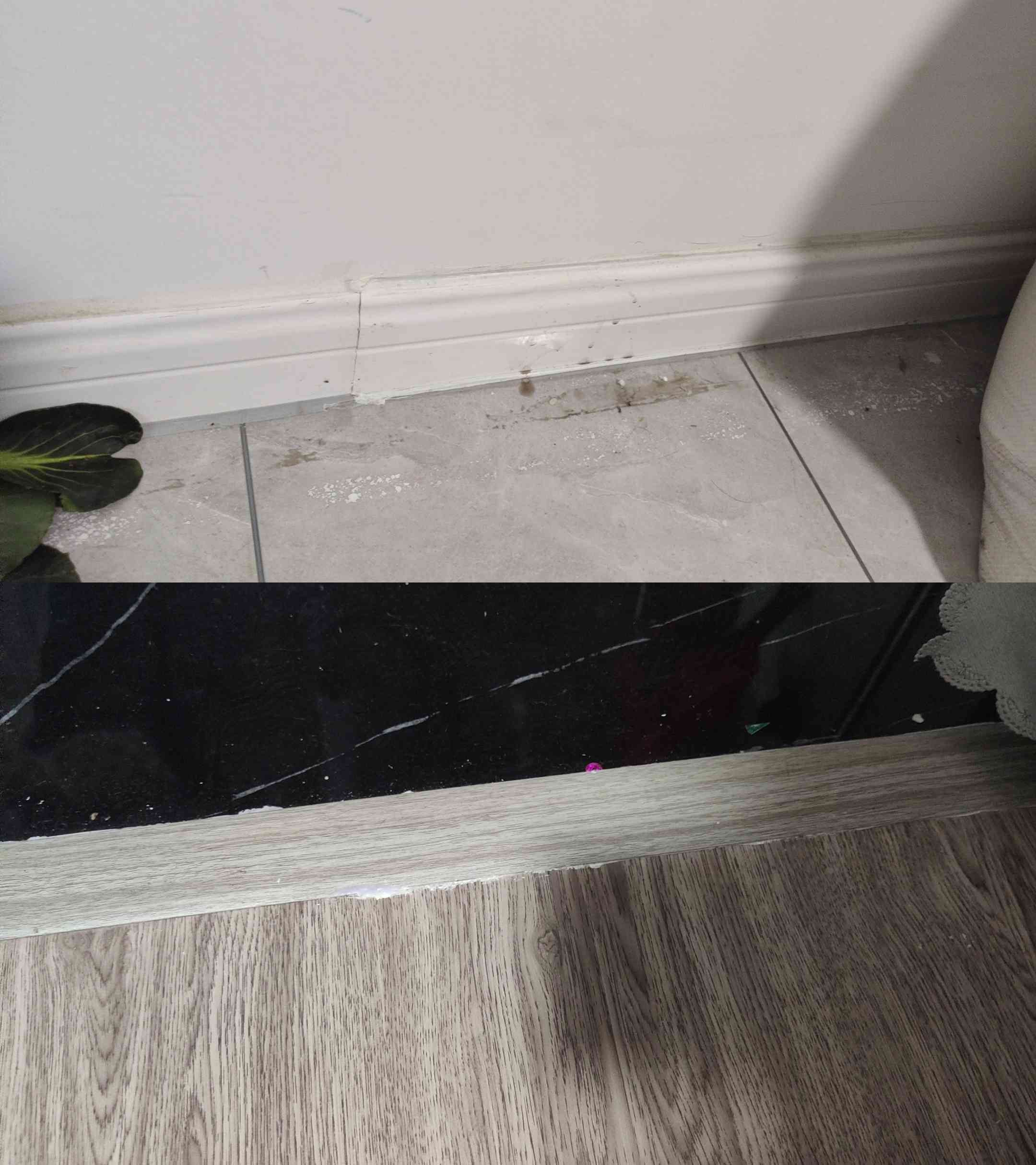 齐家网消费者投诉深度调查：品控危机全面解析