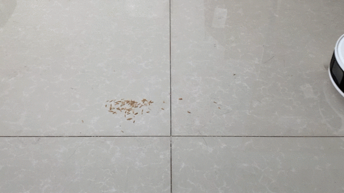 小米扫地机器人深度评测：一站式吸尘清洁全能体验