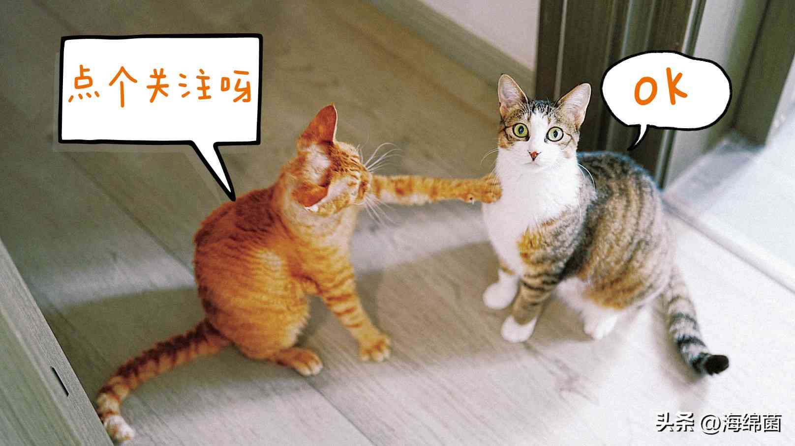 U盘也能变好看？我的多彩搭子：闪迪至尊高速酷锃闪存盘使用体验