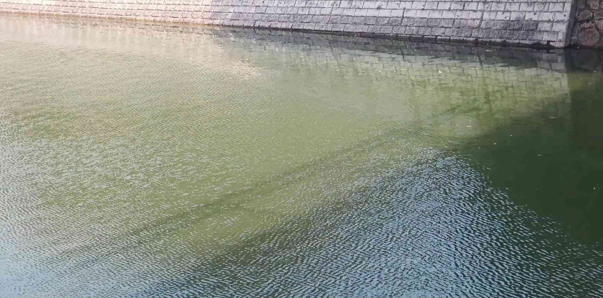 亚都加湿器怎么样 2025年加湿器选购指南：四大热销品牌对比评测，一篇看懂参数陷阱