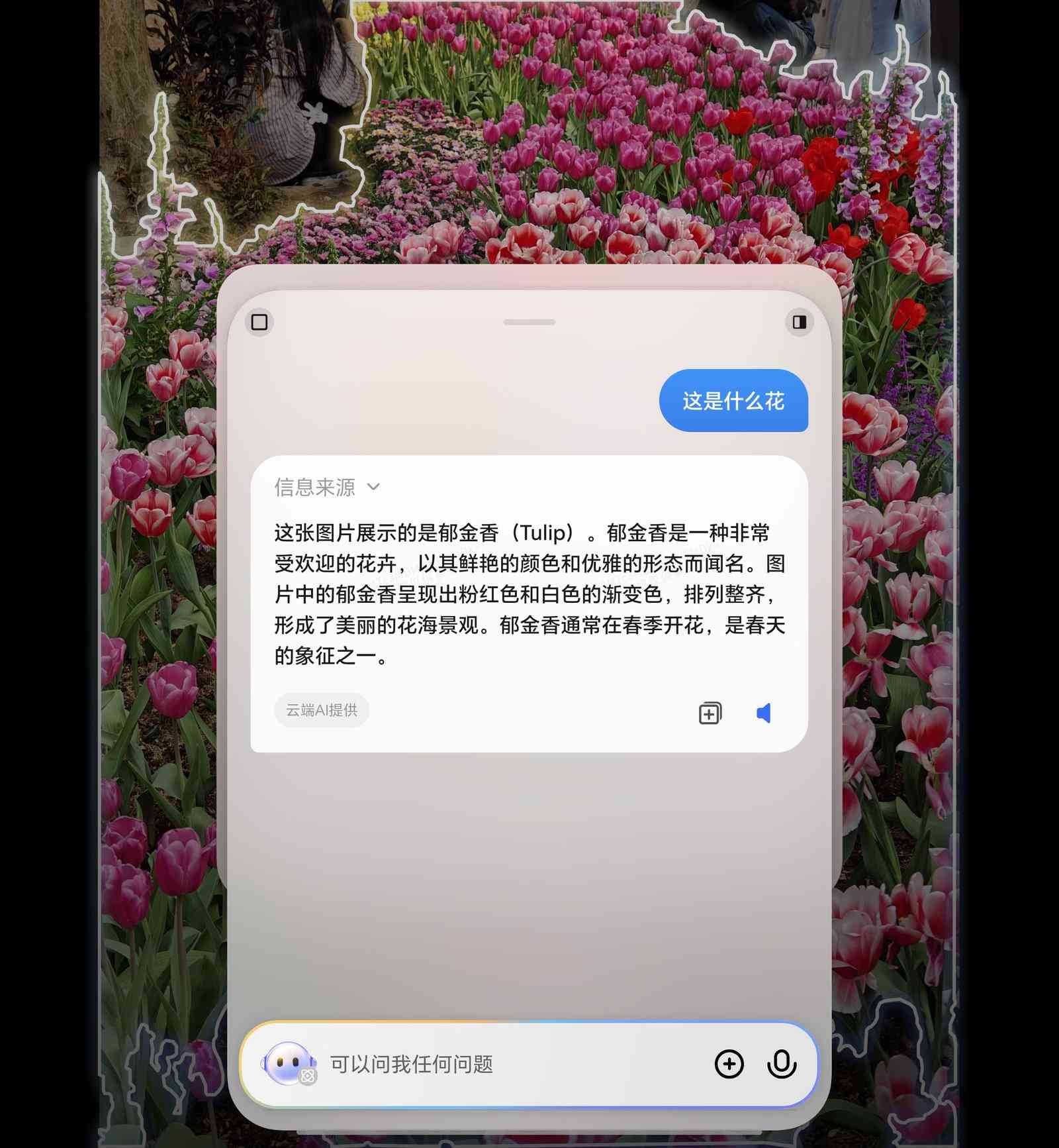 荣耀系统怎么样 荣耀Magic V5系统评测：AI技术集大成之作，比想象更强大
