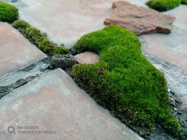 努比亚z17怎么样 努比亚Z17畅享版评测 无边框亦无短板？