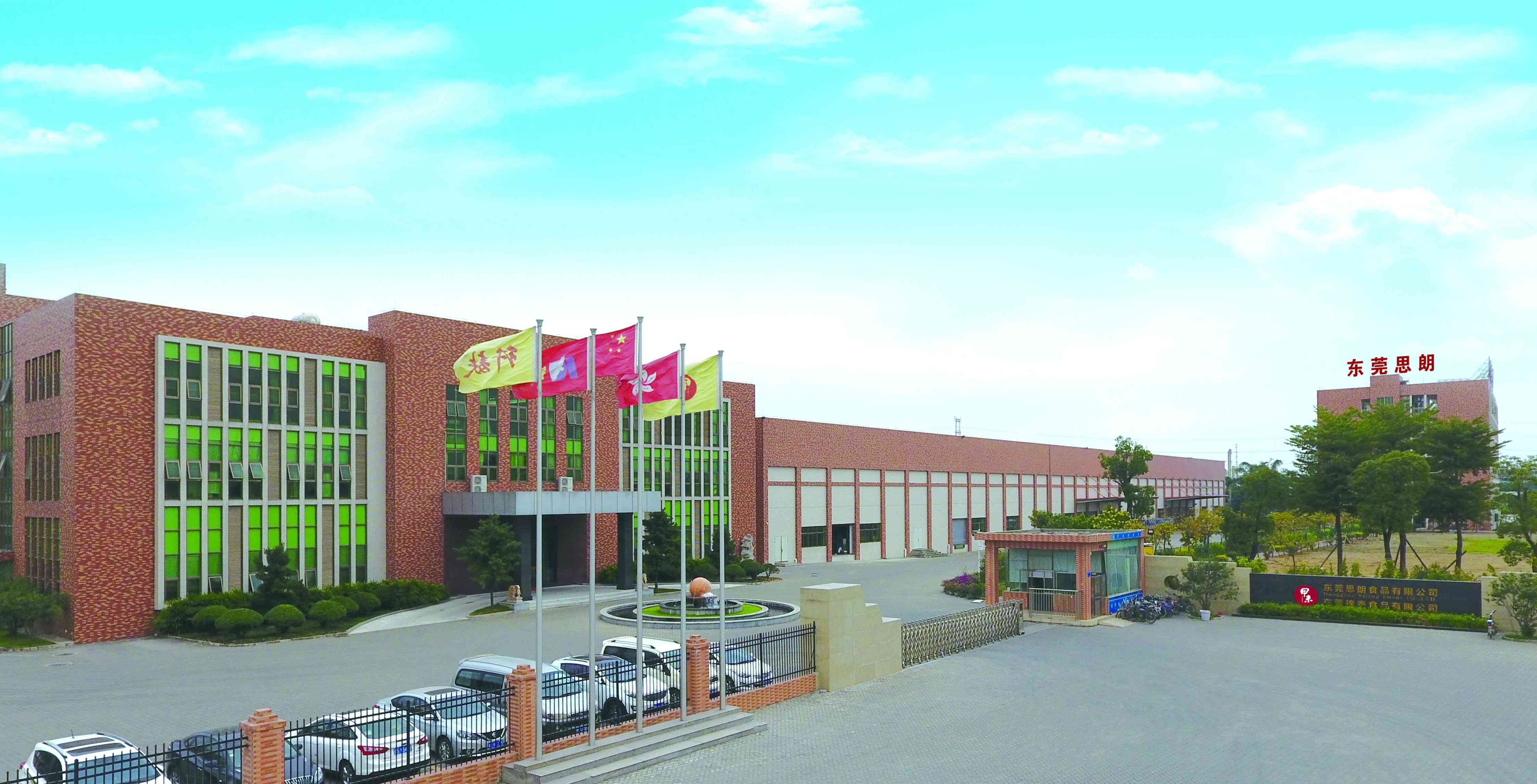 思朗饼干怎么样 莞味智造｜东莞思朗：健康类饼干的N种可能，引领行业潮流